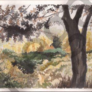 Otoño en Luján