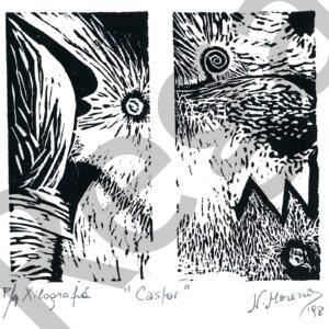 Castor