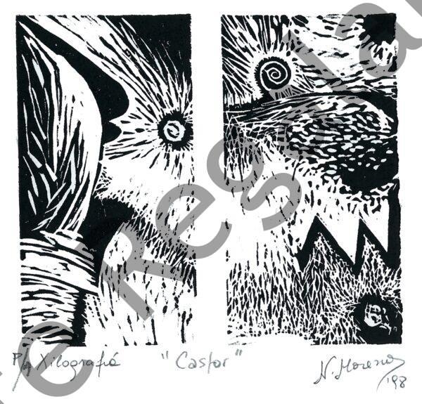 Castor