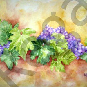 De uvas y parras