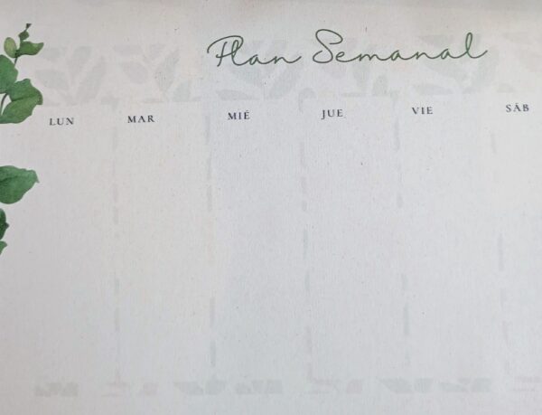 Plan semanal