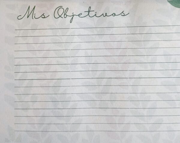 Objetivos