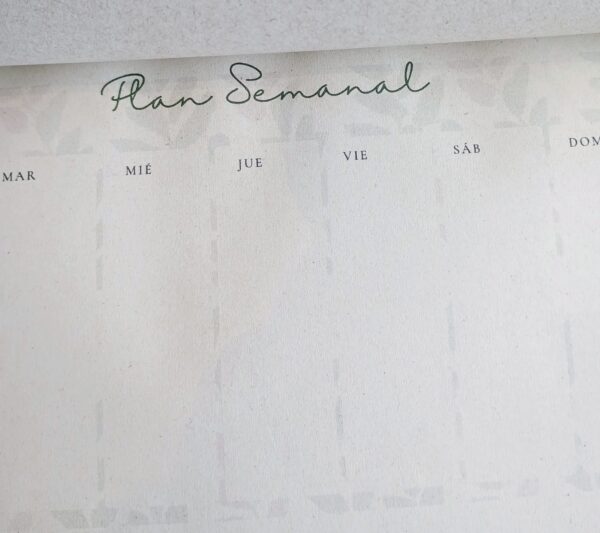 Plan semanal